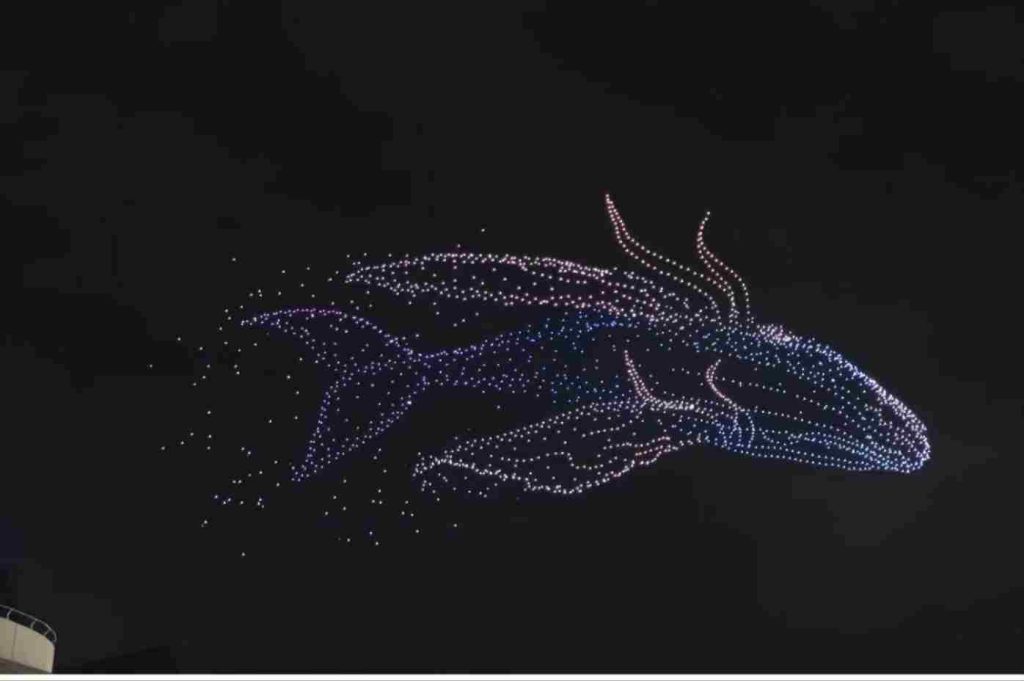 drone show- flying fish